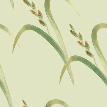Textile seamless floral pattern with wild grasses and cereals. Design for Illustrazione stock