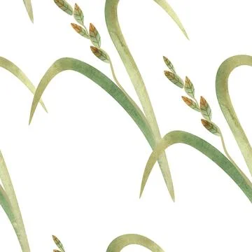 Textile seamless floral pattern with wild grasses and cereals. Design for Stock Illustration