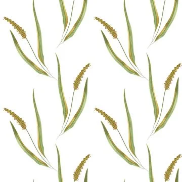 Textile seamless floral pattern with wild grasses and cereals. Design for Stock Illustration