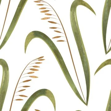 Textile seamless floral pattern with wild grasses and cereals. Design for Stock Illustration