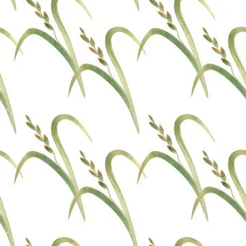 Textile seamless floral pattern with wild grasses and cereals. Design for Stock Illustration