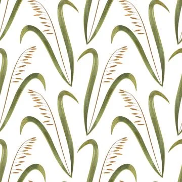 Textile seamless floral pattern with wild grasses and cereals. Design for Stock-Illustration