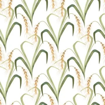 Textile seamless floral pattern with wild grasses and cereals. Design for Stock Illustration
