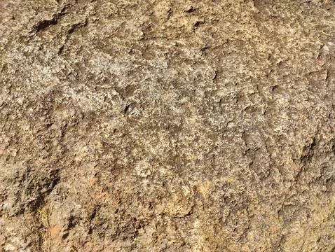 Textura da rocha rústica e relevo áspero Stock Photos