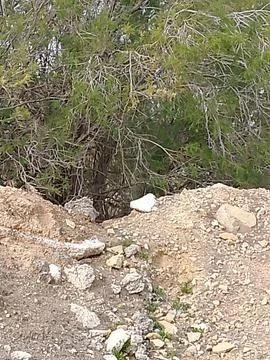 Textural Contrast Between Sun-Bleached Limestone Debris Stock Photos