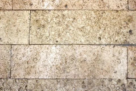 Textural relief background Stock Photos