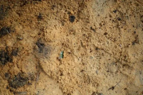 Textural surface of weathered sedimentary soil, with a scattered mix of par.. Stock Photos