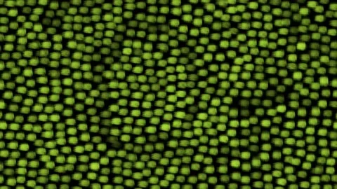 Texture 10-background-sh Stock Footage 180401582