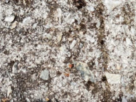 Texture 30-07655 Stock Photos