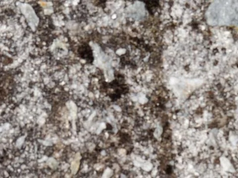 Texture 31-07656 Stock Photos