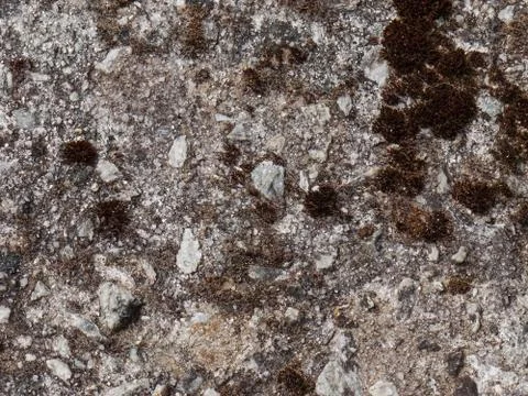 Texture 33-07658 Stock Photos