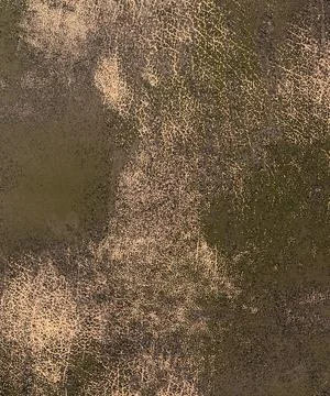 Texture of an abstract background image with scratches and spots Stock Photos