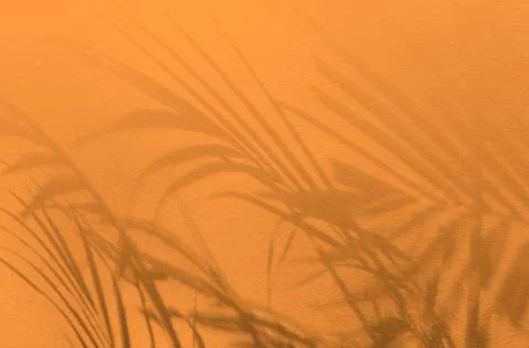 Texture abstract background wall with leaf shadow Stock Illustration