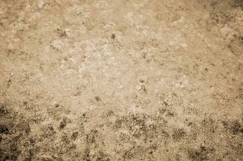 Texture abstraction of water and algae at the bottom of a drained pond. Tonin Stock Photos