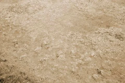 Texture abstraction of water and algae at the bottom of a drained pond. Tonin Stock Photos