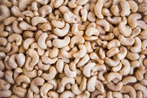 Texture of acajou, nuts. Background or pattern with acajou . Stock Photos