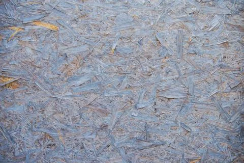 Texture of aged chipboard in winter. Stock Photos