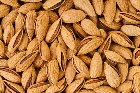 Texture of almond nuts closeup Stock Photos