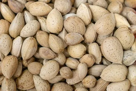 The texture of almonds in the shell Stock Photos