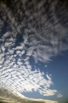 Texture of altocumulus shape clouds at sky on sunset Foto stock