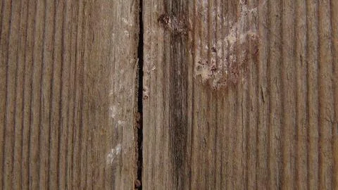 Texture and background of old and wooden board Foto stock