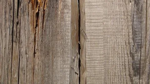 Texture and background of old and wooden board Foto stock