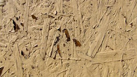 Texture and background of old and wooden board 写真素材