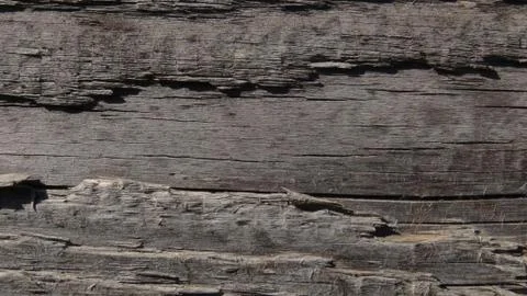 Texture and background of old and wooden board Stock Photos
