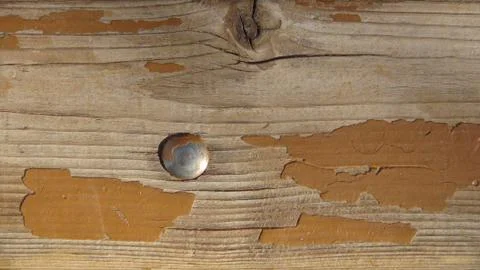 Texture and background of old and wooden board Stock-Fotos