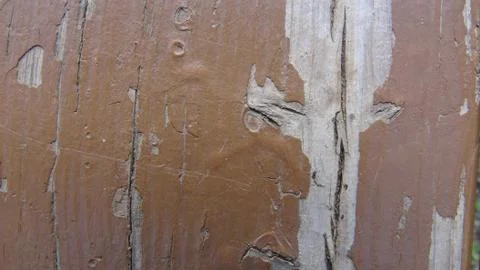 Texture and background of old and wooden board 写真素材