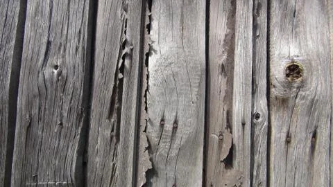 Texture and background of old and wooden board Stock Photos