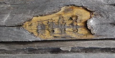 Texture and background of old and wooden board Stock Photos