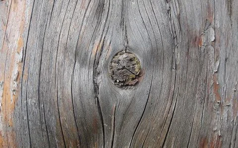Texture and background of old and wooden board Stock Photos