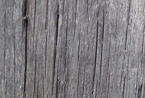 Texture and background of old and wooden board Fotos Stock