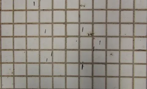 Texture and background of old and small tiles on the facade of the building Foto stock