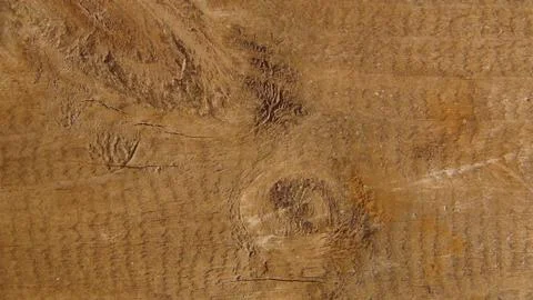 Texture and background of old and wooden board Stock Photos