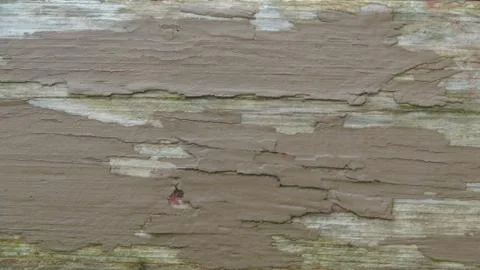 Texture and background of old and wooden board Foto stock