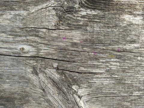 Texture and background of old and gray wooden board Stock-Fotos
