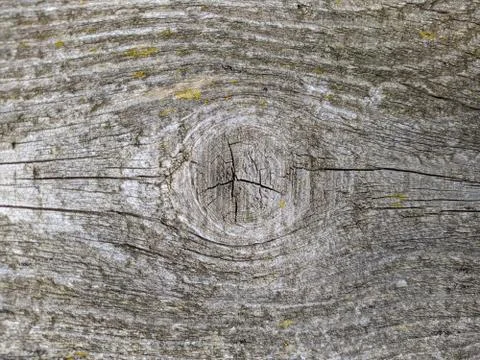 Texture and background of old and gray wooden board Stock Photos