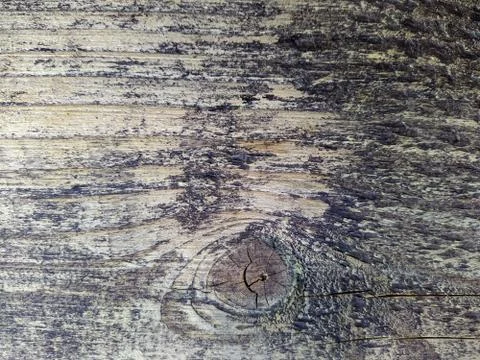 Texture and background of old and wooden board 写真素材
