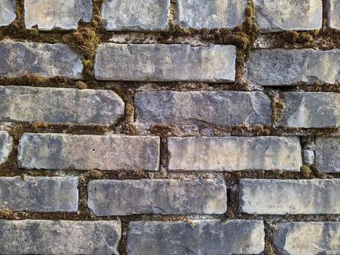 Texture and background of old and gray dirty bricks wall Stock Photos