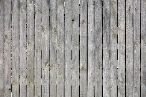 Texture and background of an old gray wooden fence with weathered wood. Stock Photos