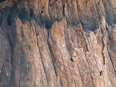 Texture and background of old  log Stock Photos