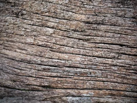 Texture and background of old  log Stock Photos