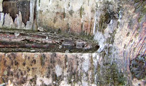 Texture and background of old tree bark at day time Stock Photos