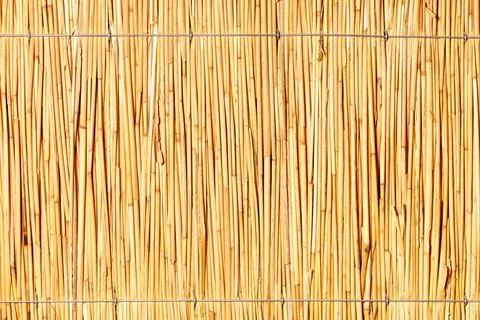 Texture and background of a reed wall tied with steel wire. Stock Photos