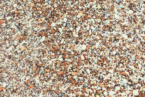 Texture and background of shells on the beach 库存照片