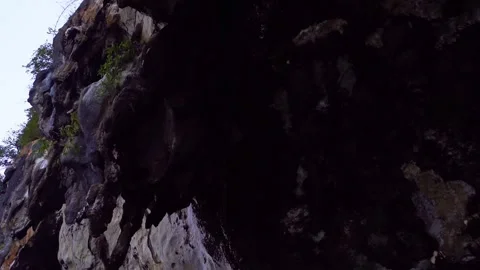 Texture and bark of tree Stock Footage 328694085