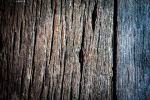 Texture and color of old  log Foto stock