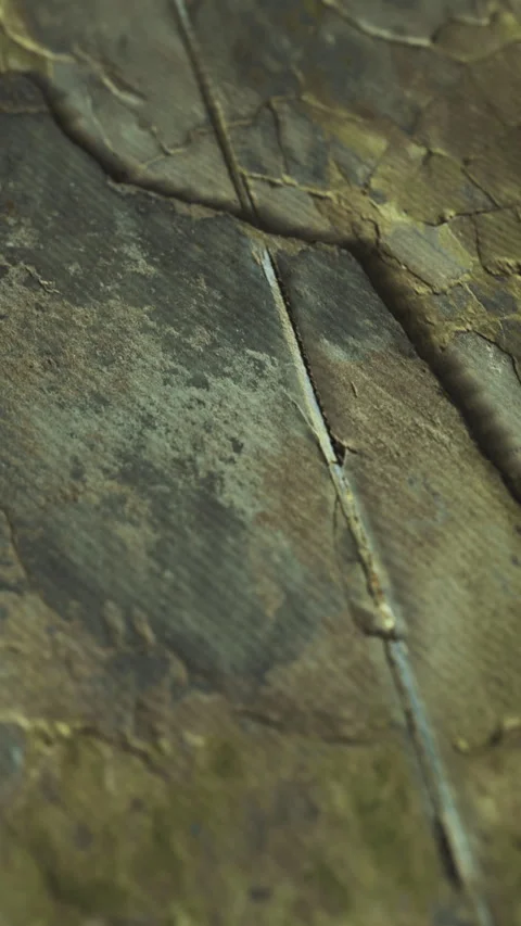 Texture and detail of a weathered stone surface in nature during daylight Stock Footage 335967333